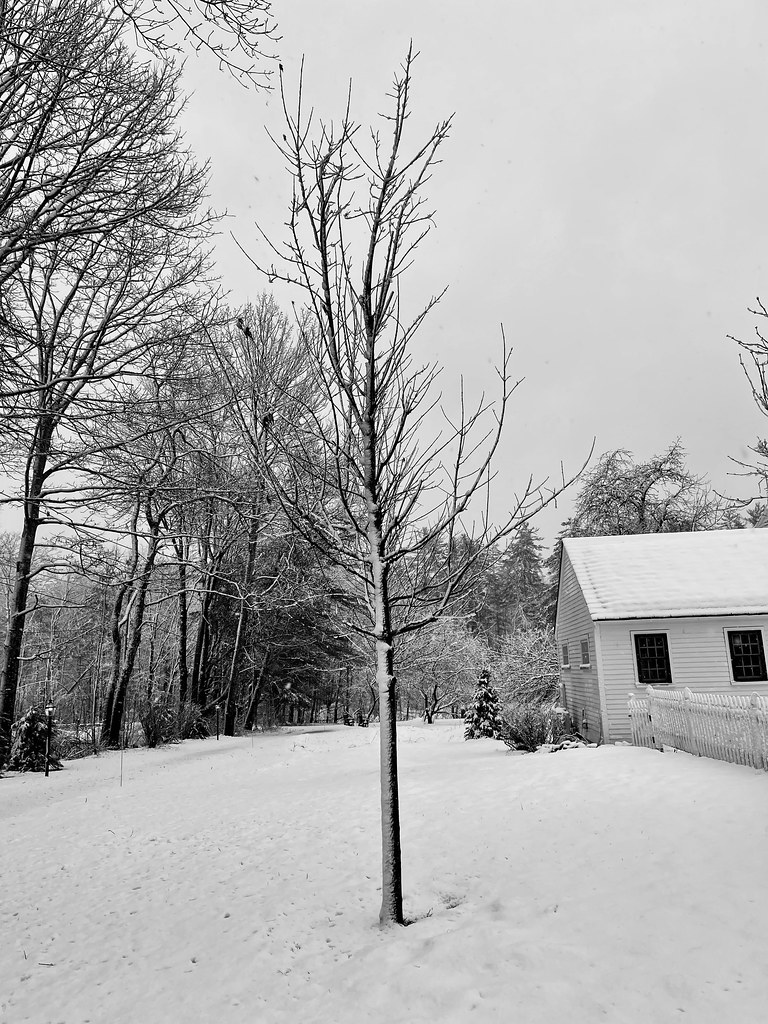 Splitting the difference. Wells, Maine. devtmefl Flickr