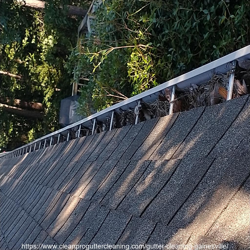 Gutter_Cleaning_Gainesville_0004_20230306093457 Clean Pro Gutter