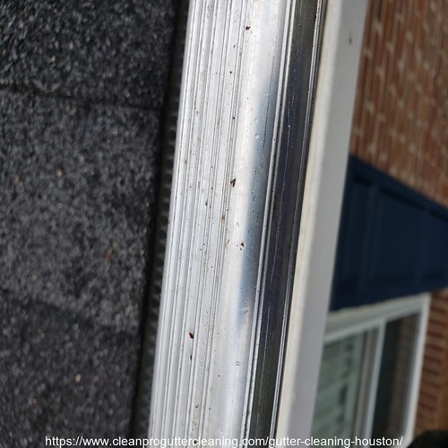 Gutter_Cleaning_Houston_0007_20230306134819 Clean Pro Gutter Cleaning