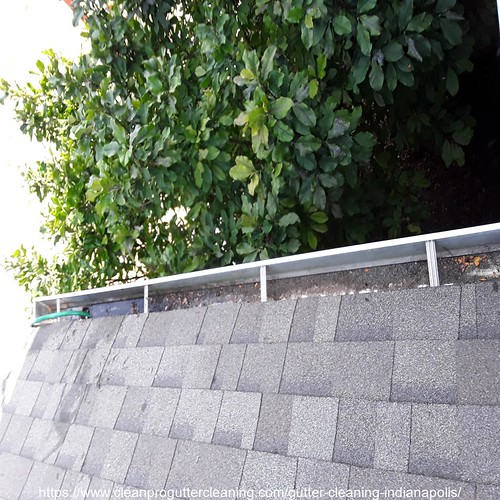 Gutter_Cleaning_Indianapolis_0005_20230306153325 Clean Pro Gutter