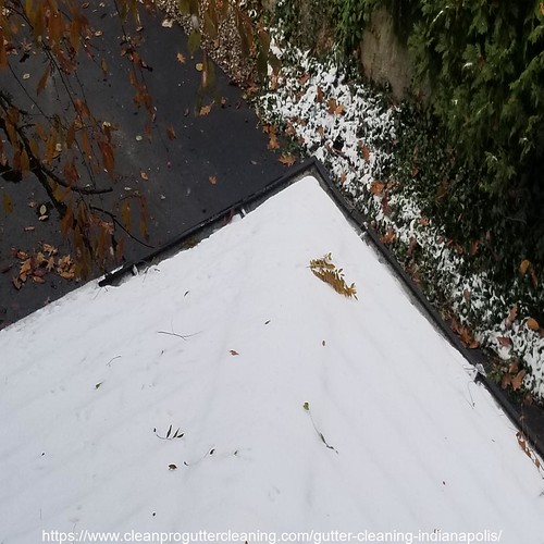 Gutter_Cleaning_Indianapolis_0005_20230306144024 Clean Pro Gutter