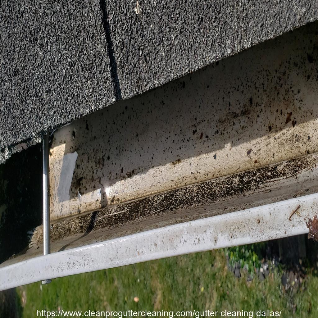 Gutter_Cleaning_Dallas_2427_20230304131834 Clean Pro Gutter Cleaning