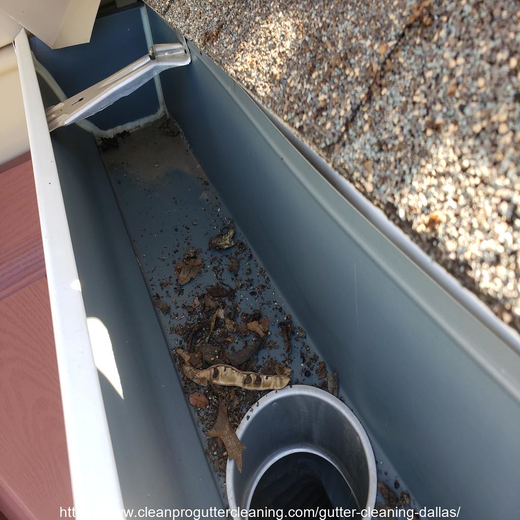 Gutter_Cleaning_Dallas_2176_20230304131118 Clean Pro Gutter Cleaning