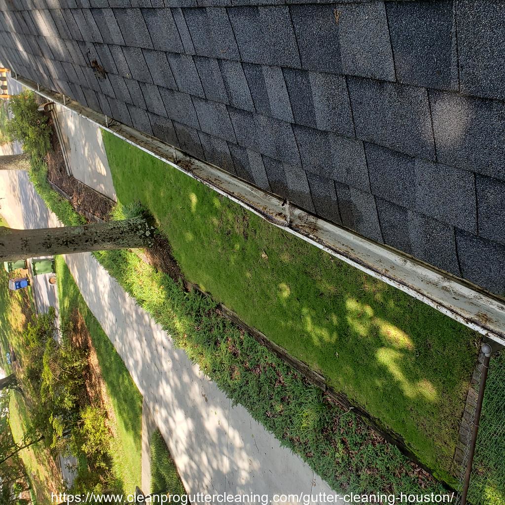 Gutter_Cleaning_Houston_0008_20230306124721 Clean Pro Gutter Cleaning