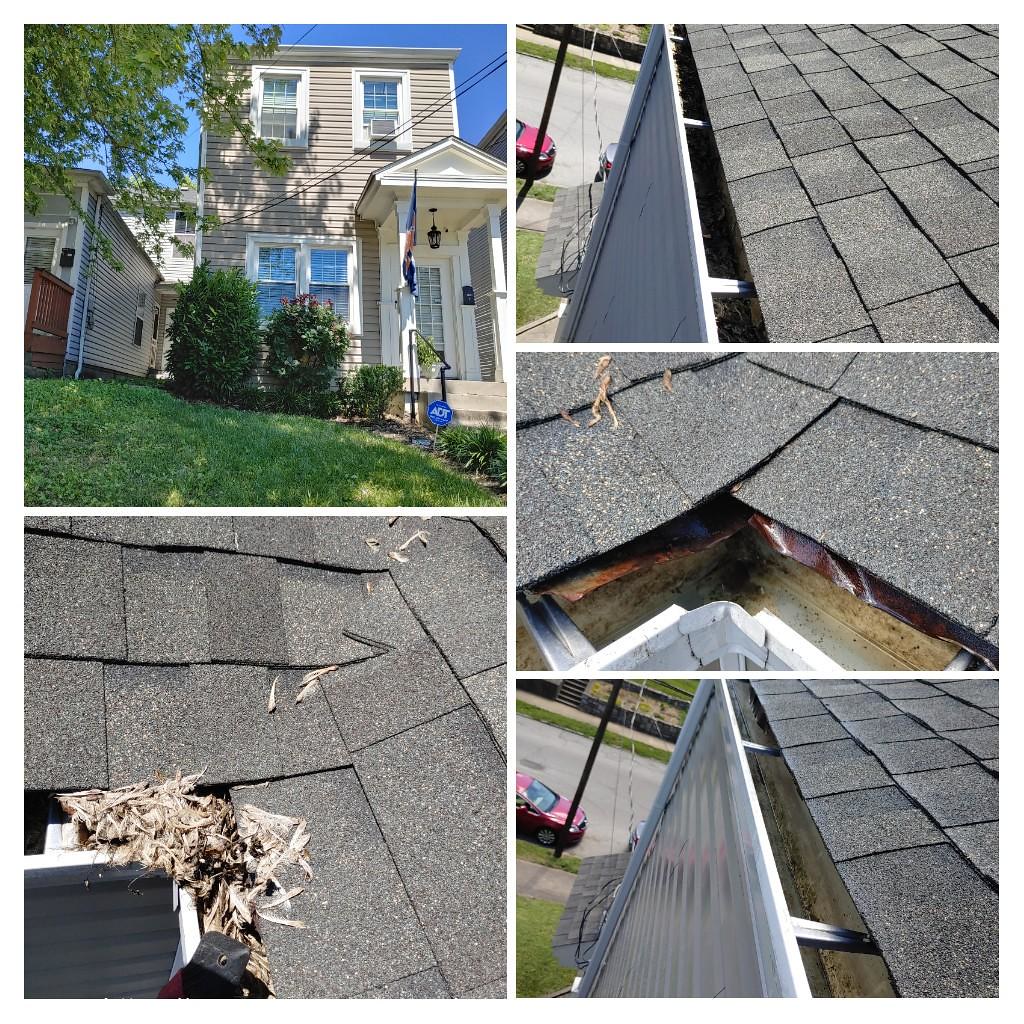 Gutter_Cleaning_Houston_0002_20230306071210 Clean Pro Gutter Cleaning