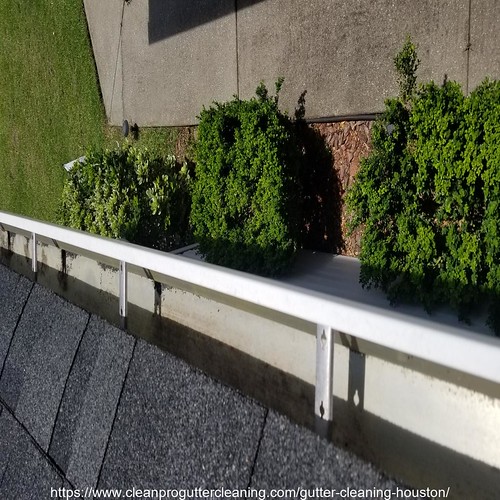 Gutter_Cleaning_Houston_0007_20230306063910 Clean Pro Gutter Cleaning