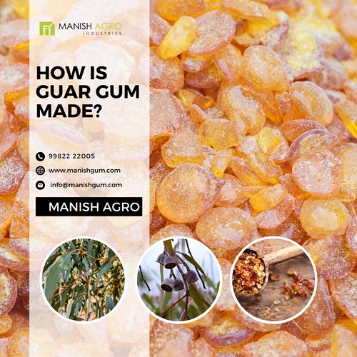 How is guar gum made? 1 We, MANISH AGRO (MANISHGUM) the … Flickr