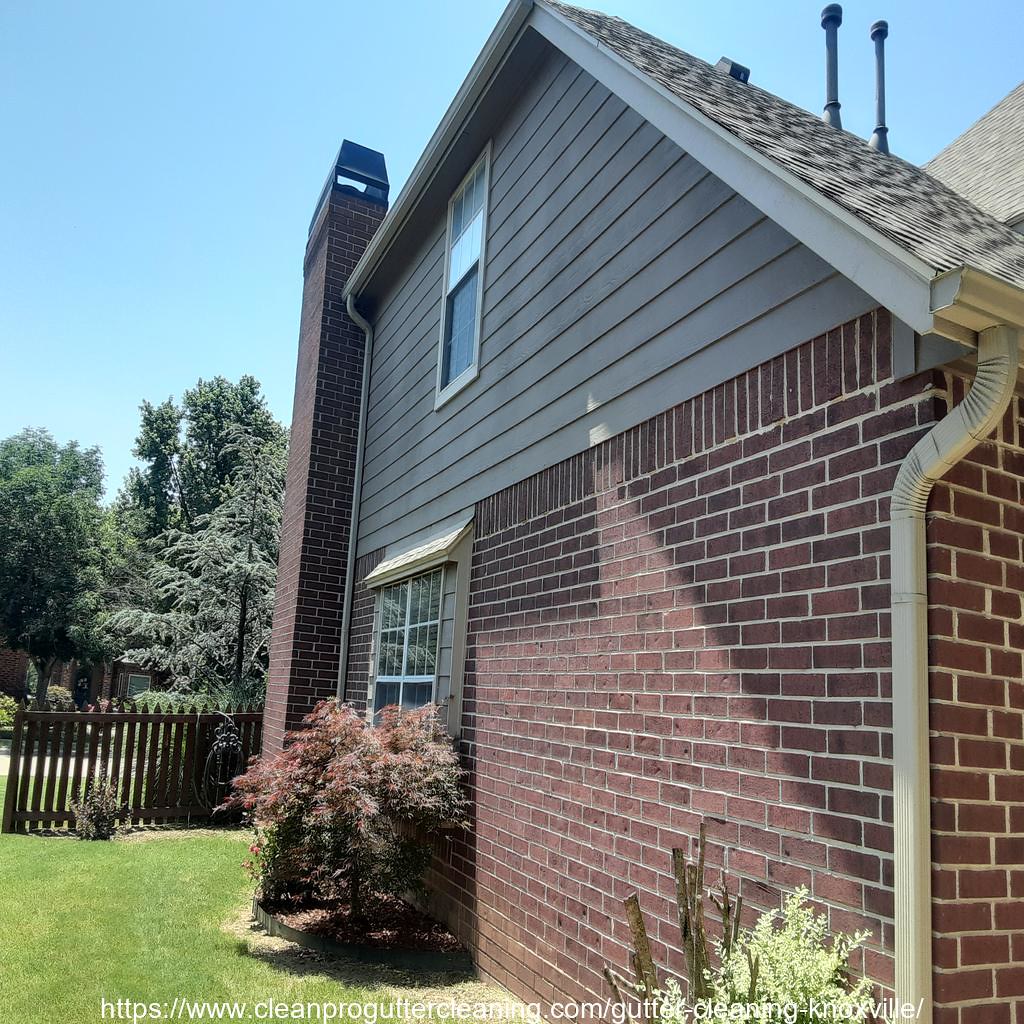 Gutter_Cleaning_Knoxville_0007_20230306090940 Clean Pro Gutter