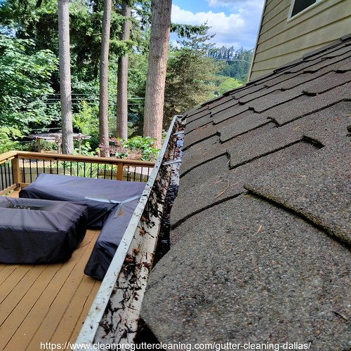 Gutter_Cleaning_Dallas_2503_20230304132041 Clean Pro Gutter Cleaning