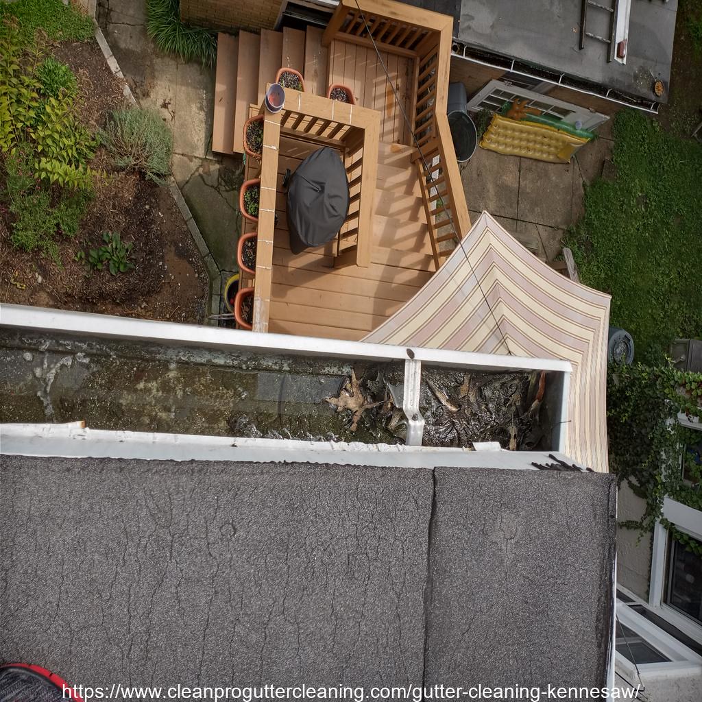 Gutter_Cleaning_Kennesaw_0007_20230306131352 Clean Pro Gutter