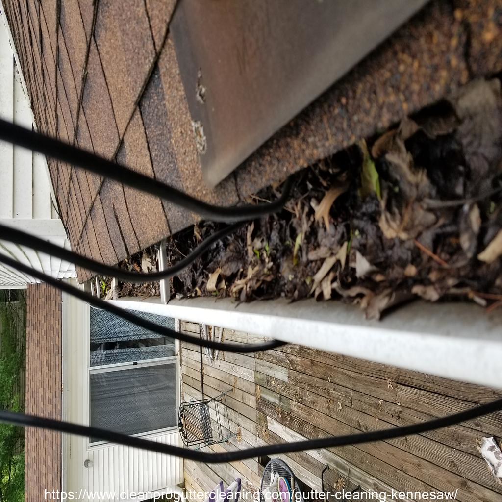 Gutter_Cleaning_Kennesaw_0003_20230306102354 Clean Pro Gutter