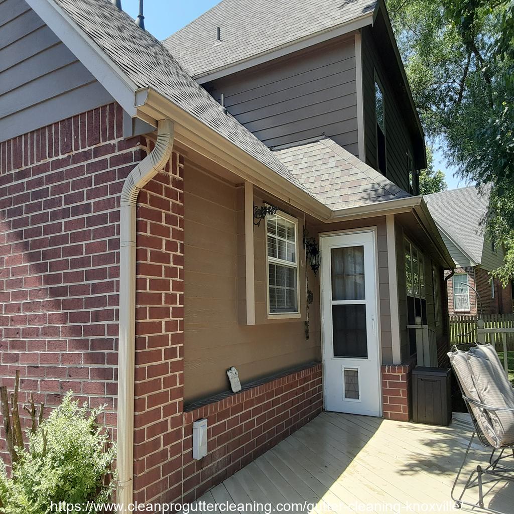 Gutter_Cleaning_Knoxville_0009_20230306090943 Clean Pro Gutter
