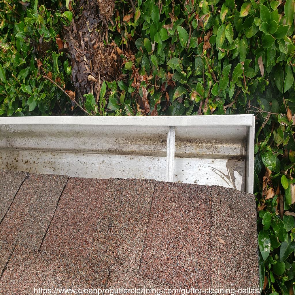 Gutter_Cleaning_Dallas_2710_20230304132630 Clean Pro Gutter Cleaning