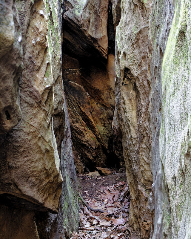 Moss Rock Preserve, Hoover, AL Flickr