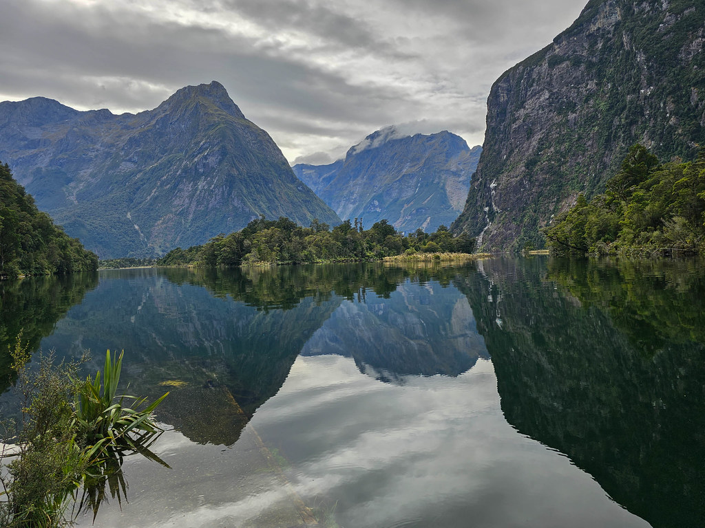 Milford Sound from Sandfly Point Paul Martin Flickr