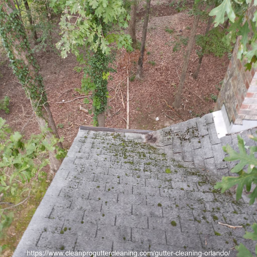 Gutter_Cleaning_Orlando_0001_20230306155521 Clean Pro Gutter Cleaning