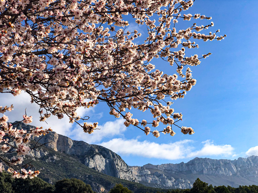 Desde Elciego Sierra Toloño eitb.eus Flickr