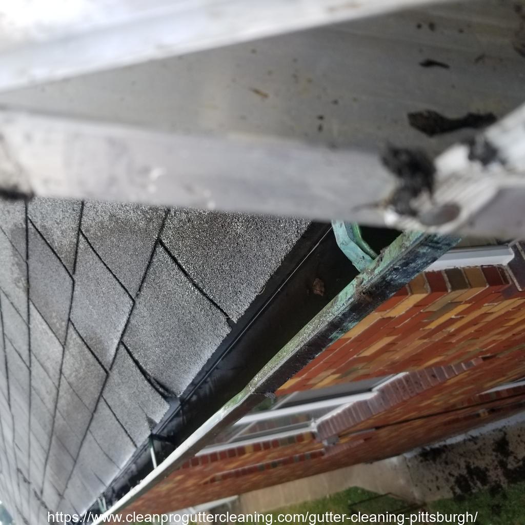 Gutter_Cleaning_Pittsburgh_0006_20230306124838 Clean Pro Gutter Cleaning Flickr