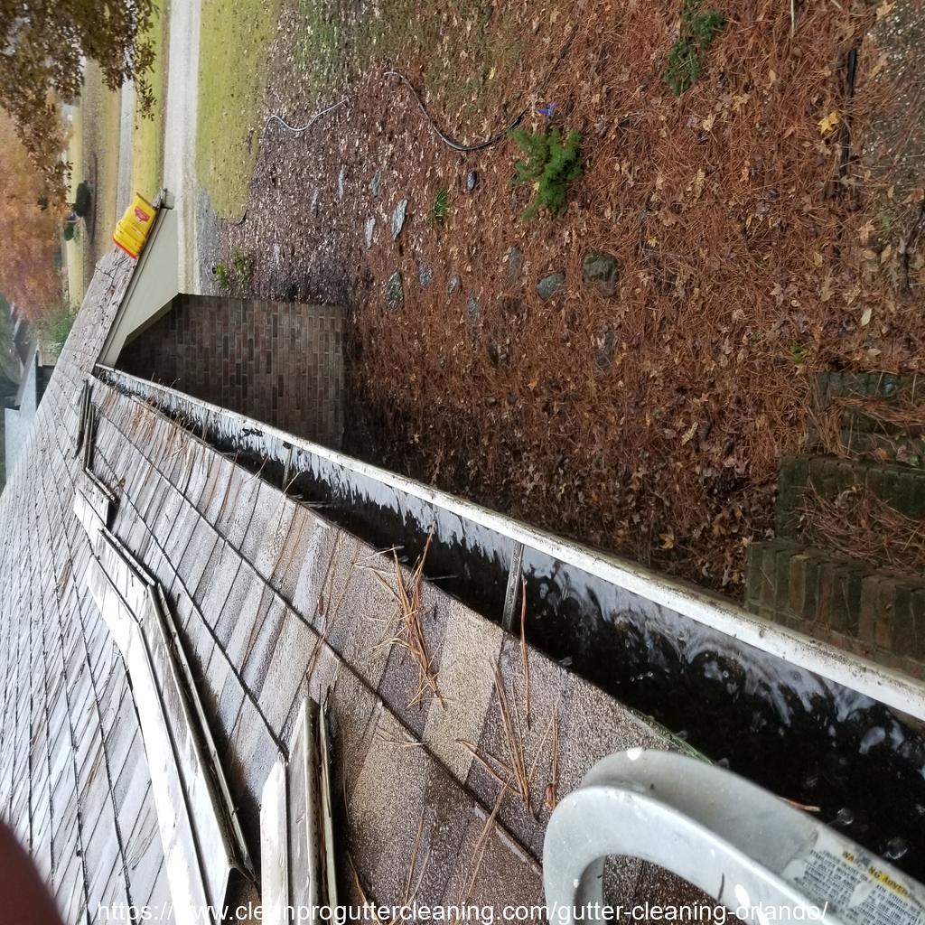 Gutter_Cleaning_Orlando_0009_20230306155538 Clean Pro Gutter Cleaning
