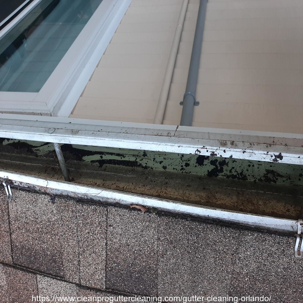 Gutter_Cleaning_Orlando_0003_20230306131007 Clean Pro Gutter Cleaning