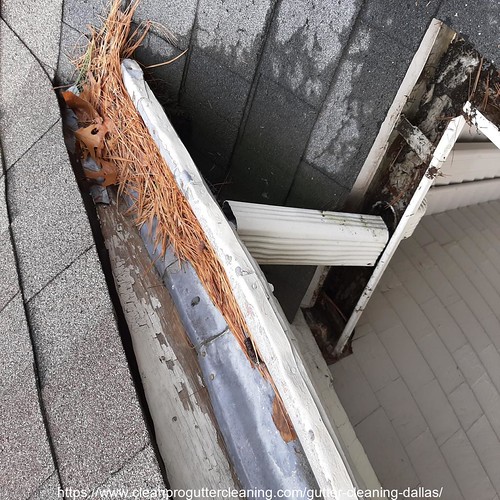 Gutter_Cleaning_Dallas_3798_20230304135710 Clean Pro Gutter Cleaning