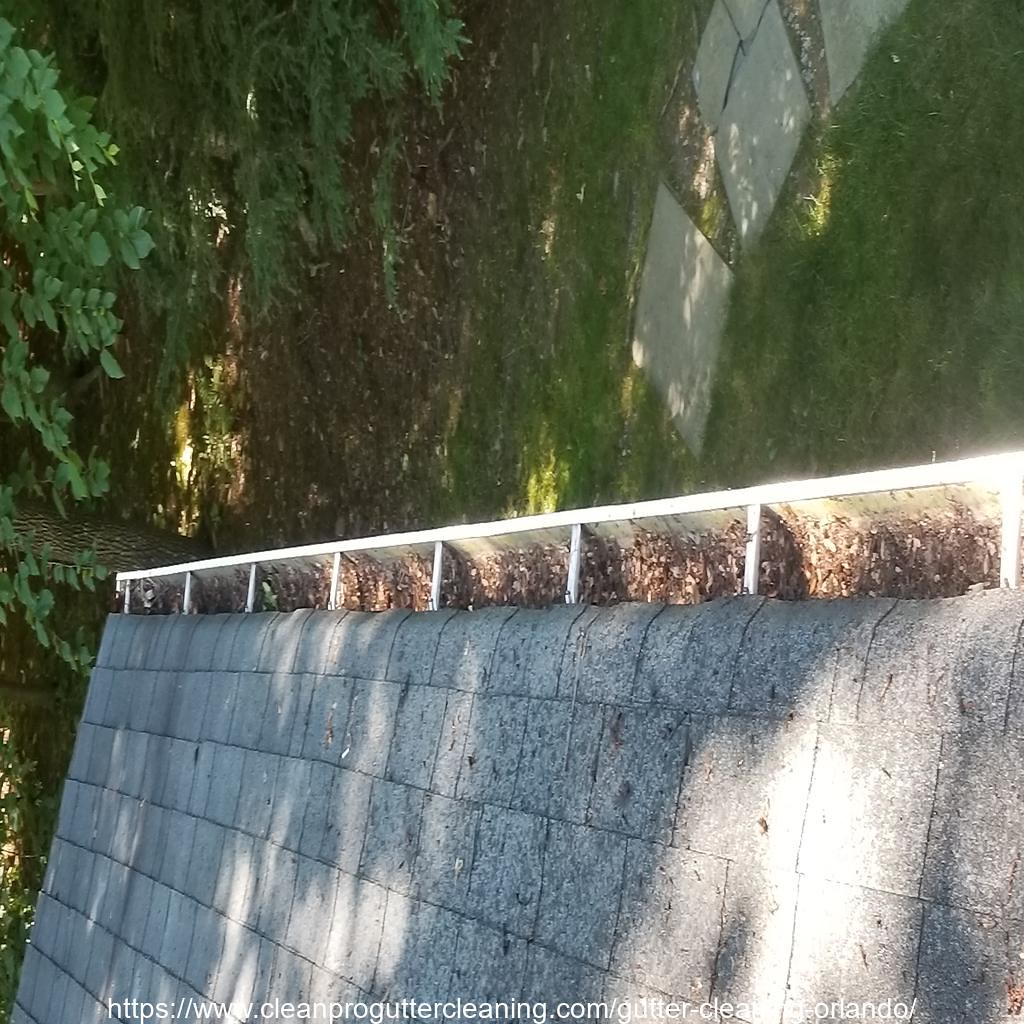 Gutter_Cleaning_Orlando_0008_20230306111655 Clean Pro Gutter Cleaning
