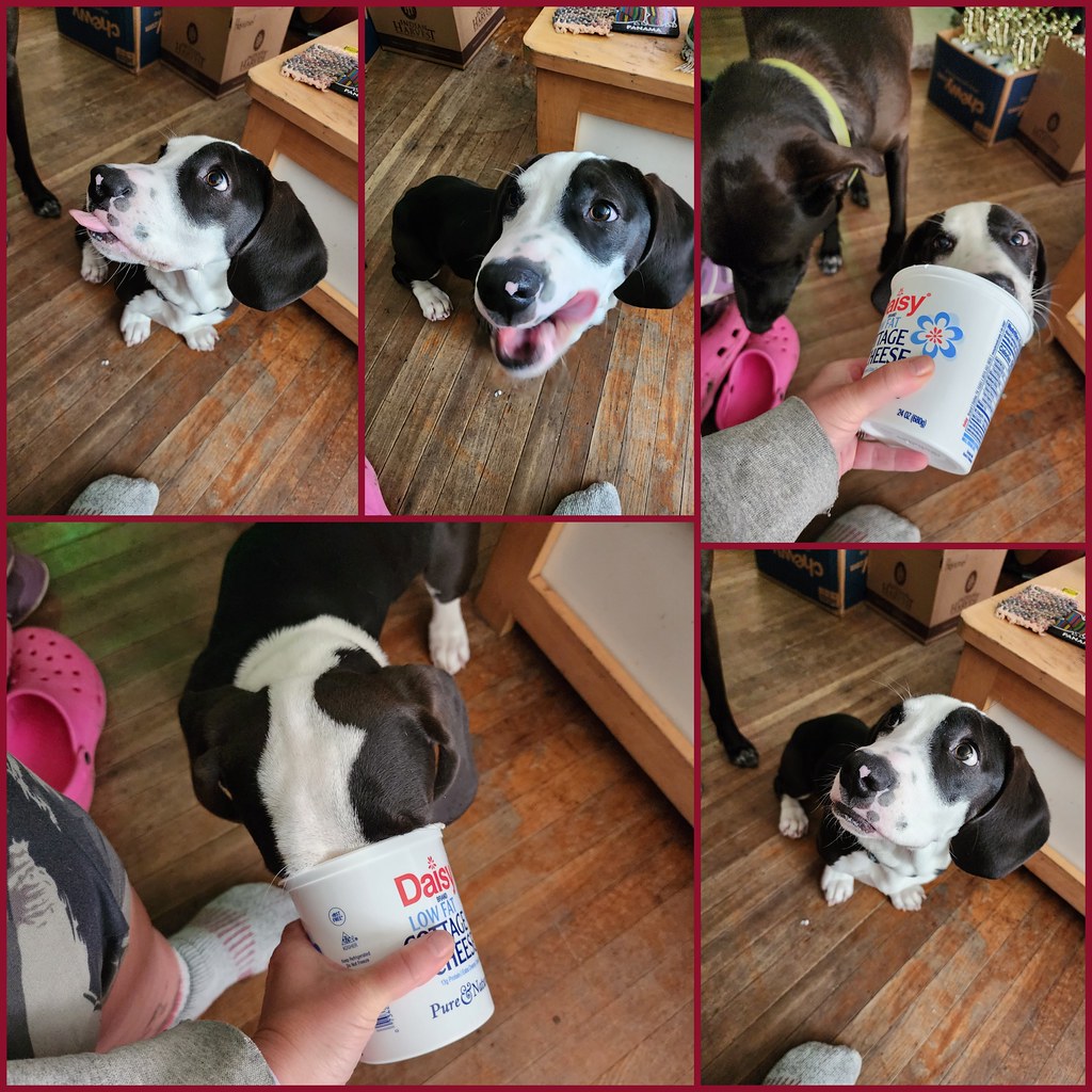 Cheese tax thelixa Flickr