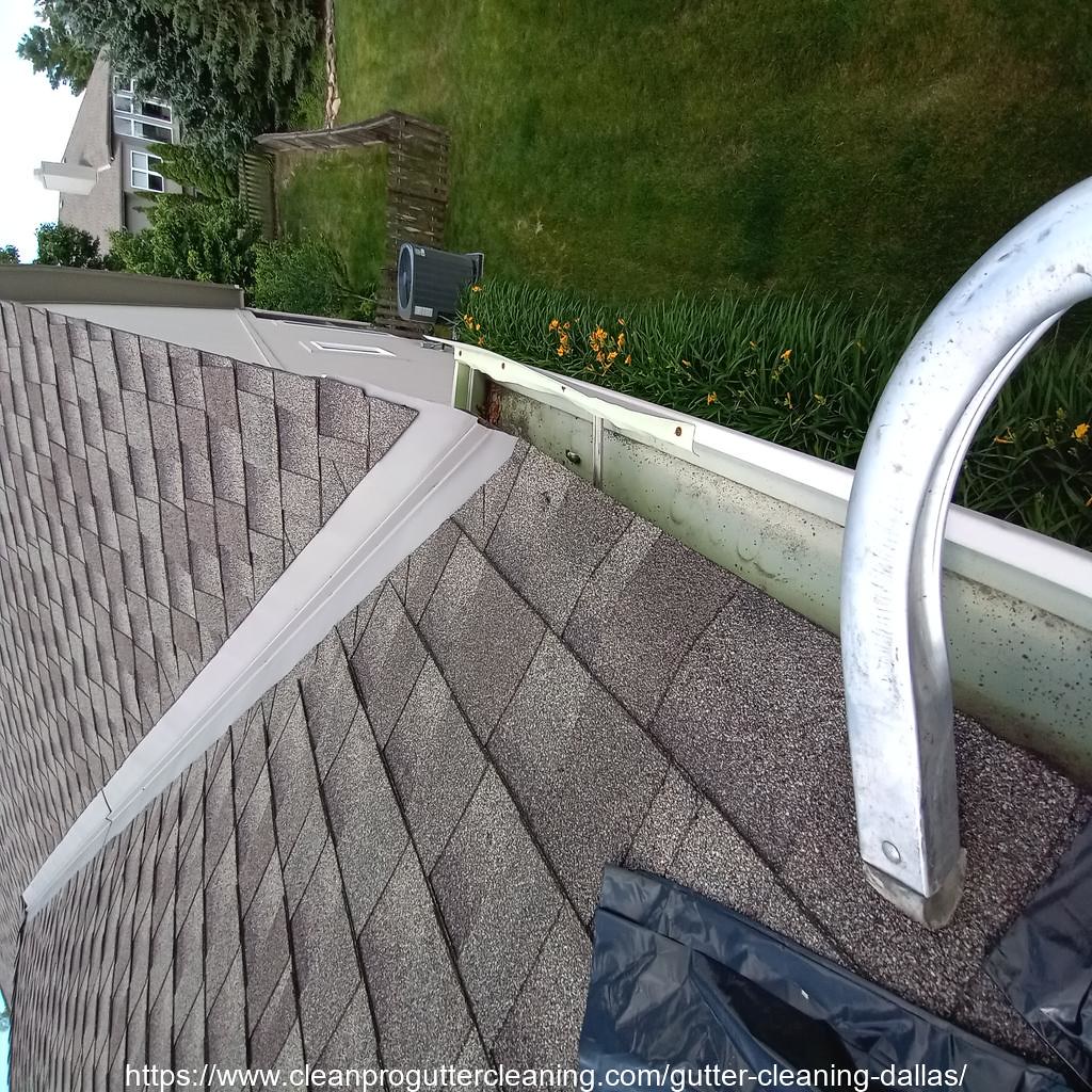 Gutter_Cleaning_Dallas_3435_20230304134714 Clean Pro Gutter Cleaning
