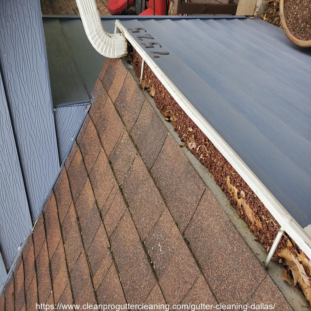 Gutter_Cleaning_Dallas_4362_20230304141500 Clean Pro Gutter Cleaning