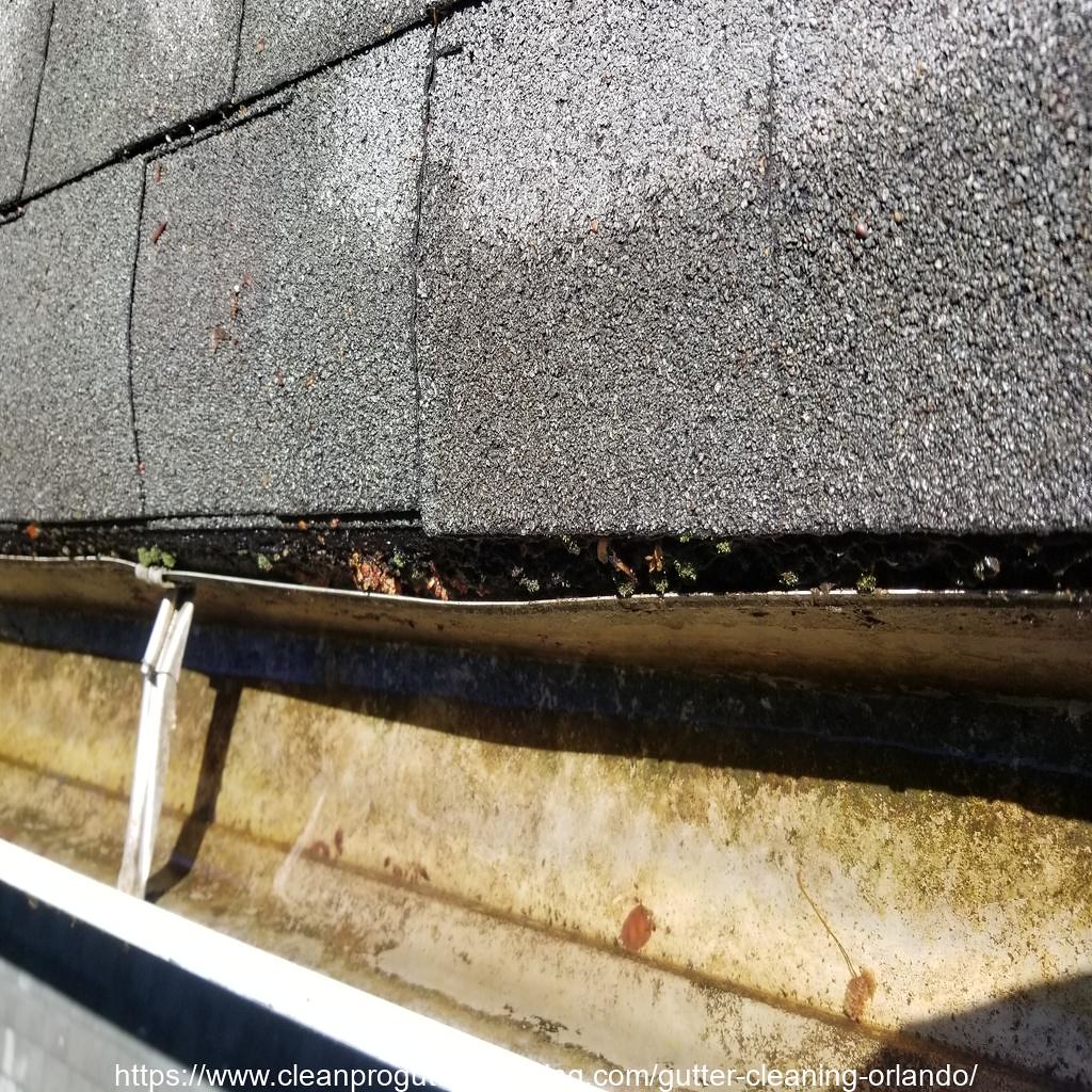 Gutter_Cleaning_Orlando_0003_20230306111640 Clean Pro Gutter Cleaning