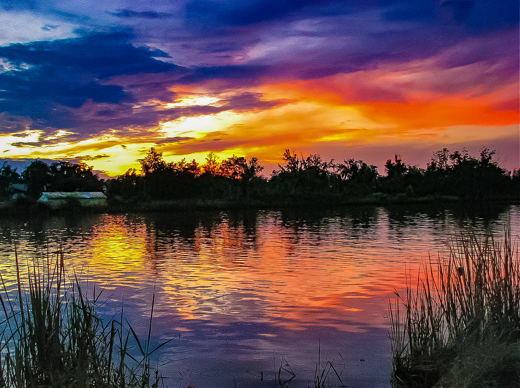 The Blackwater River near Milton, Florida dshaw997 Shaw Flickr