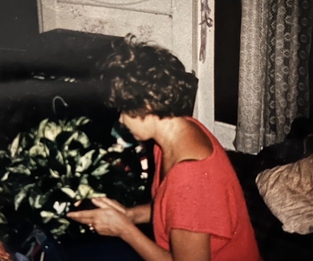 Untitled Nichole Bryant Flickr