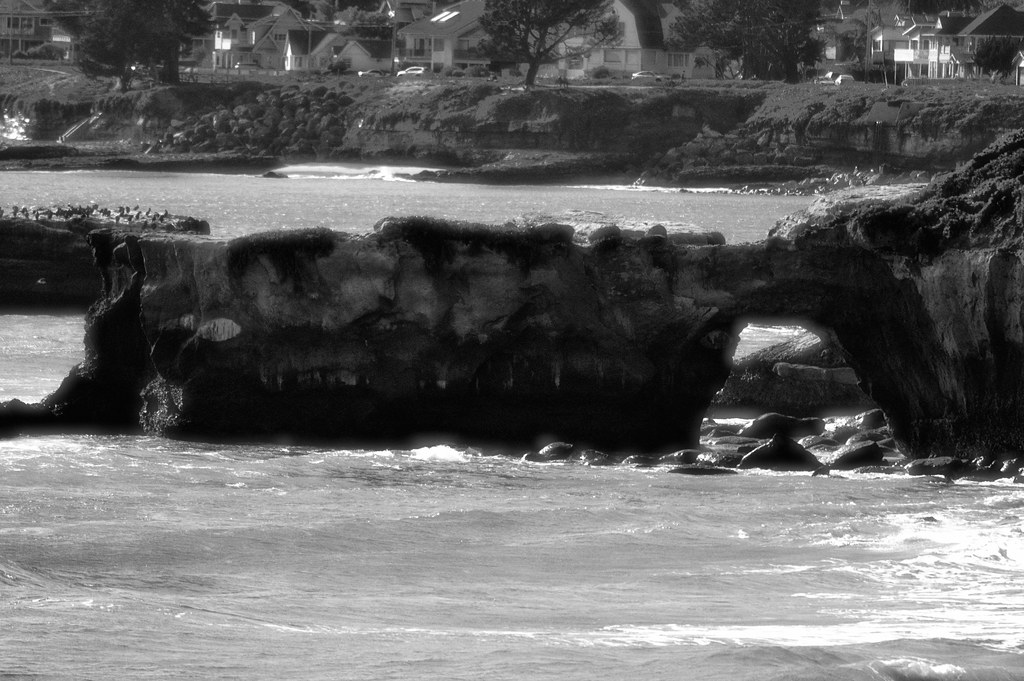 West Cliff Drive One of the coolest places to live in Sant… Flickr