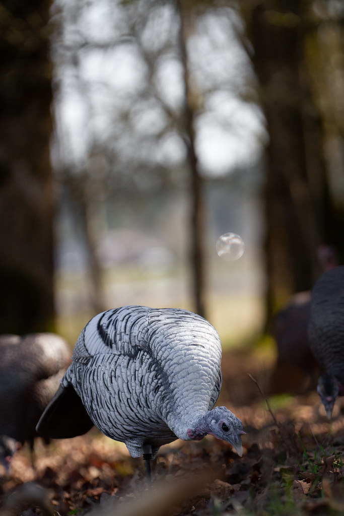 IMG_4098 Dave Smith Decoys Flickr