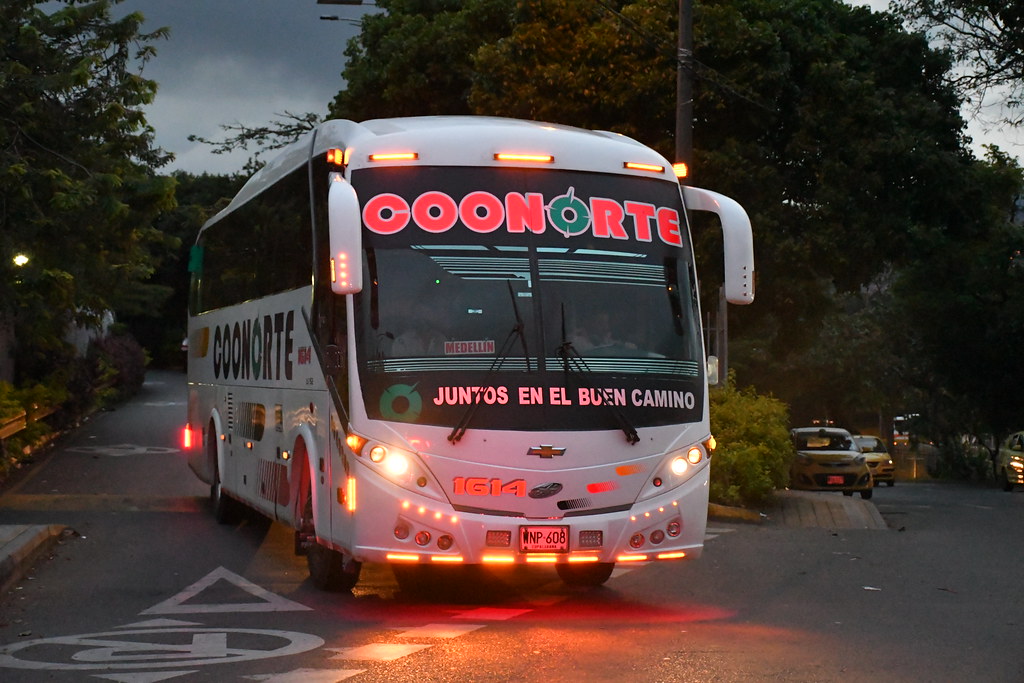 DSC_2505 Coonorte 1614 JGB Majestic Isuzu LV 152 WNP 608 David