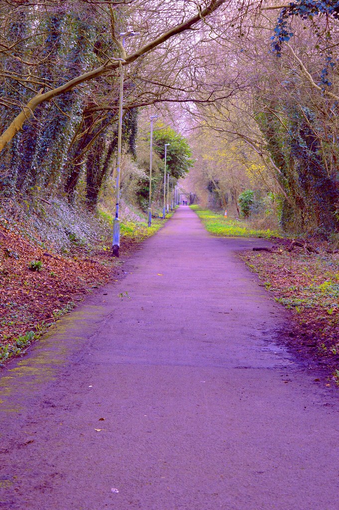 4 Sharon Dilworth Flickr