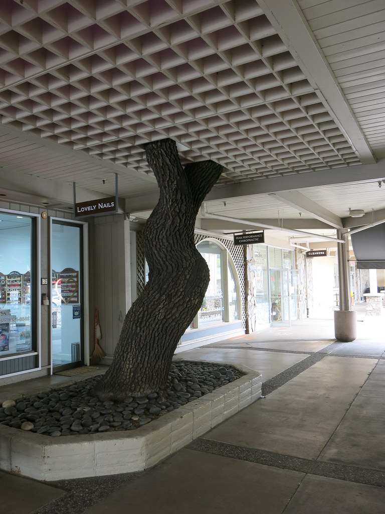 Tree Through the Roof at the Sharon Heights Shopping Cente… Flickr