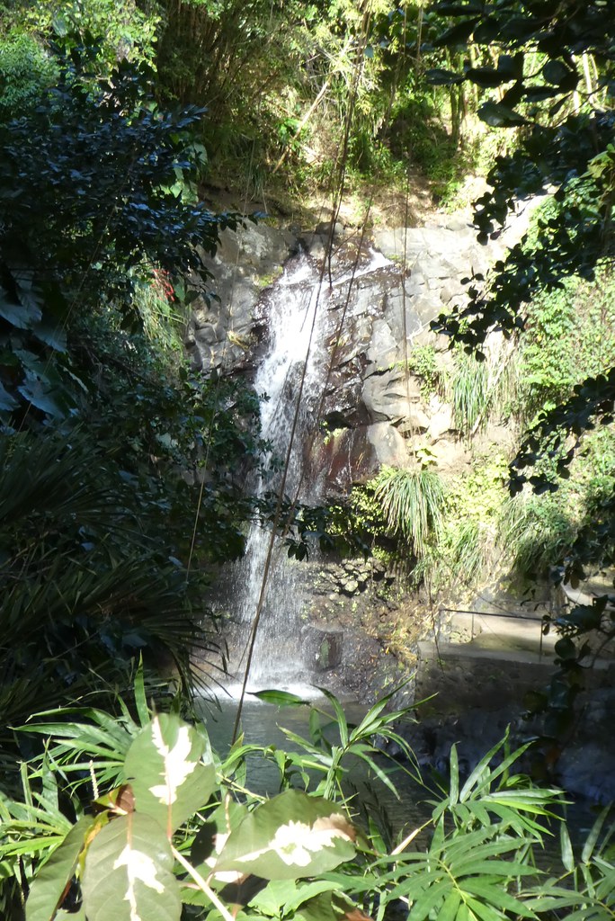 Grenada Annandale Waterfall a photo on Flickriver