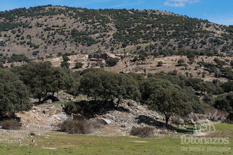 La Dehesa Boyal de Alpedrete un lugar en la naturaleza para disfrutar
