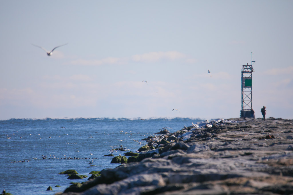 Barnegat Light 8 Barnegat Lighthouse, NJ February 4, 2023… Keith