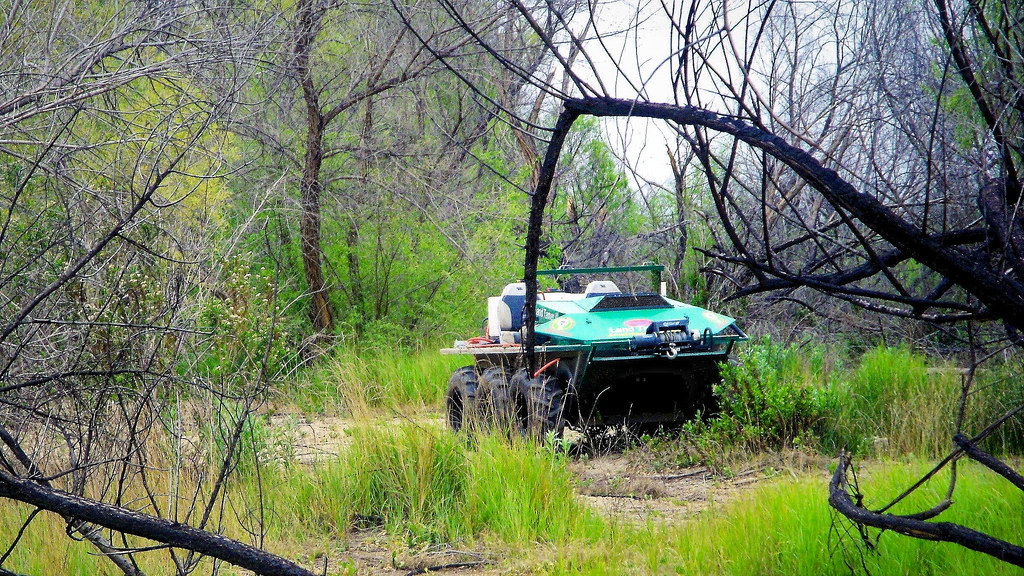 Land Tamer Girellmo Guerrero Flickr