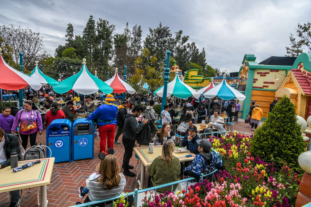 Café Daisy Review Wandering In Disney