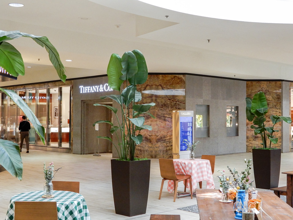  "Galleria Edina" Edina, MN Dblackwood Flickr