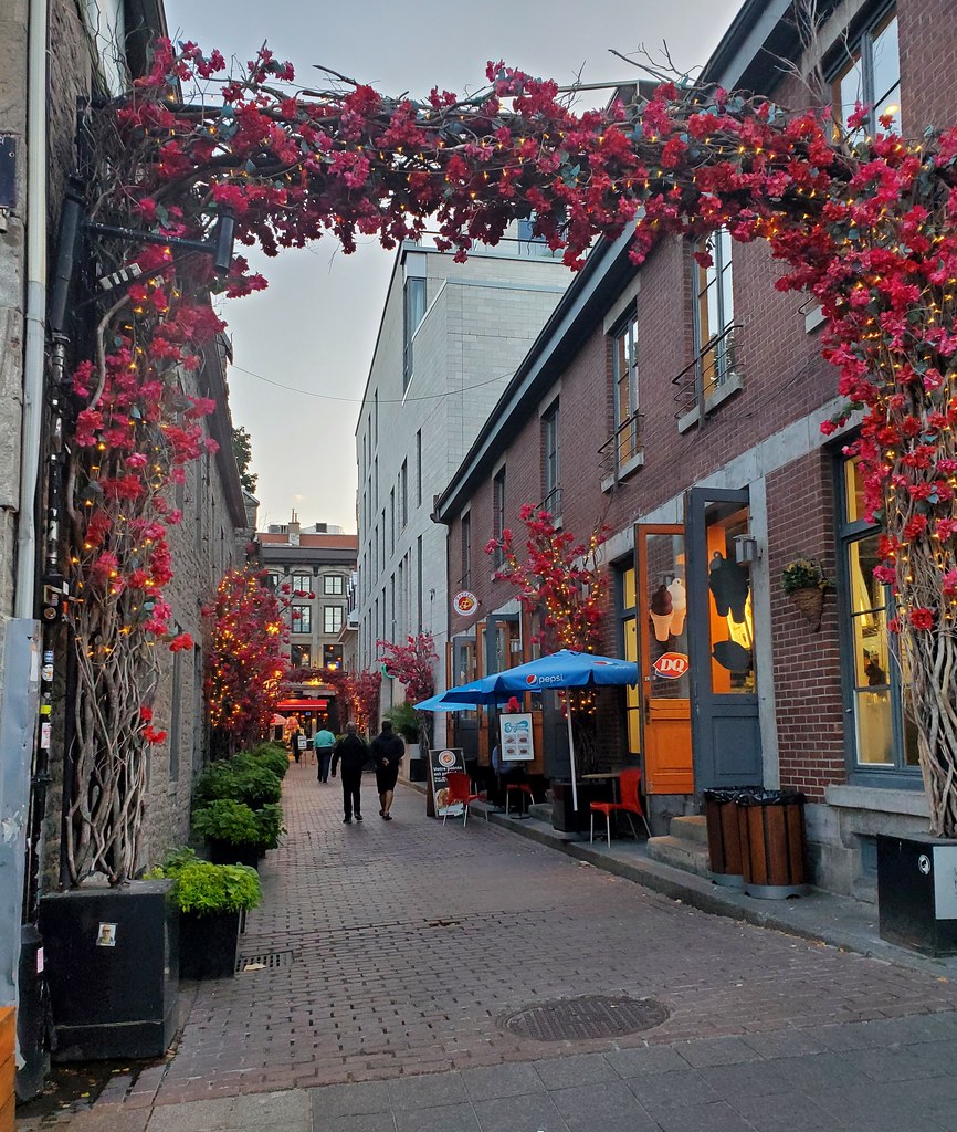 20220915 73 Montréal Old Town 160 Rue SaintAmable Flickr