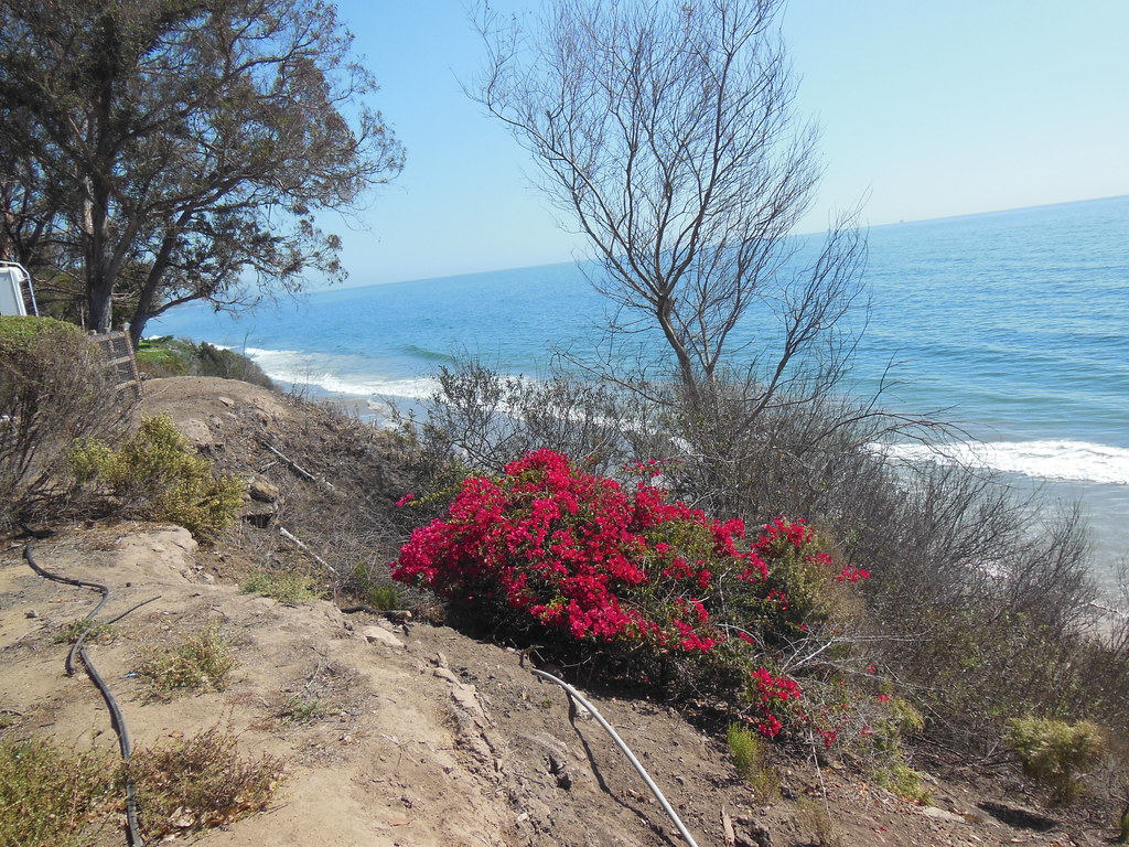 Summerland, California Best the all, the beach! Flickr