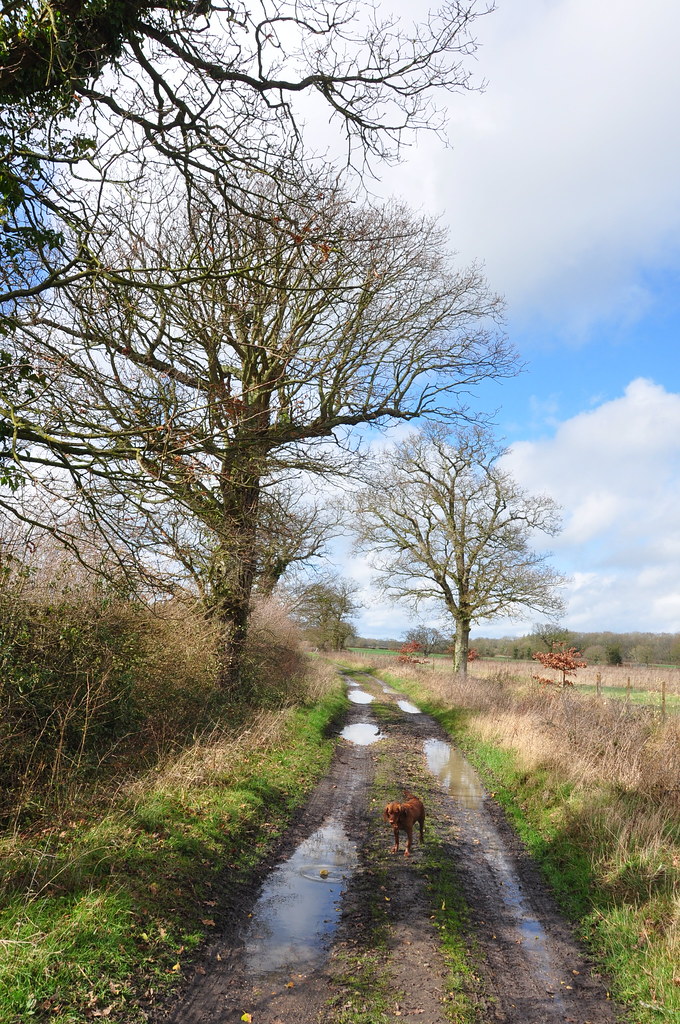 In the brighter weather Walking in Suffolk John Flickr