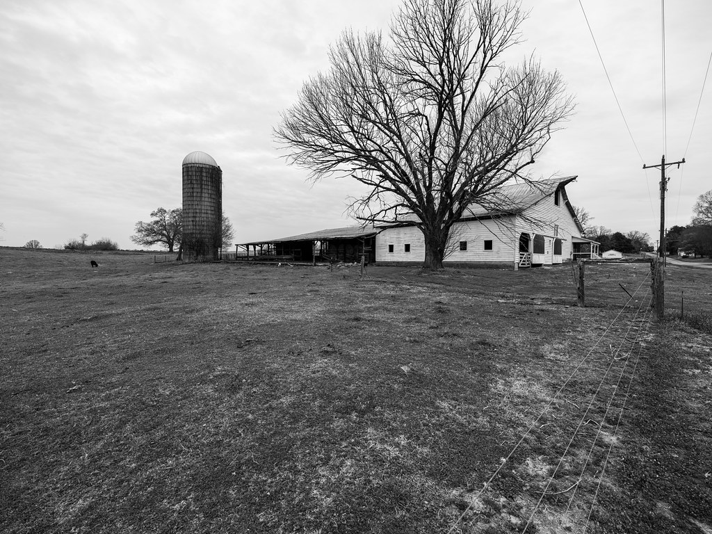 North Carolina near the Haw River (Outside Chapel Hill) … Flickr