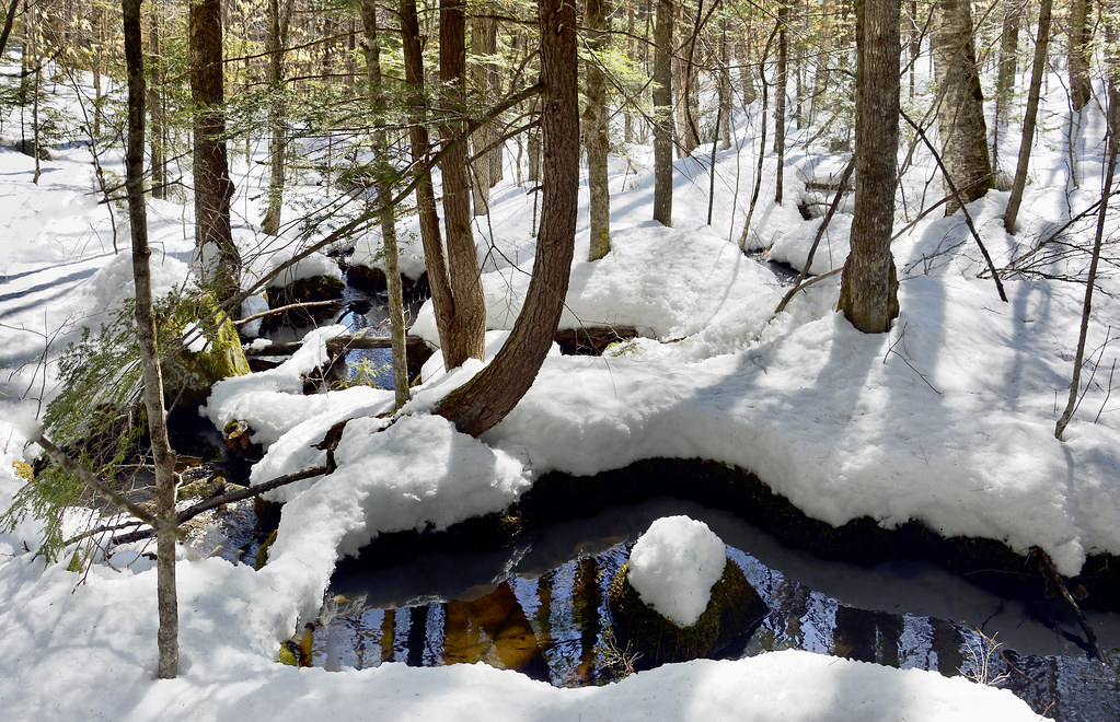 Overflow from Cole Pond rachel.roze Flickr