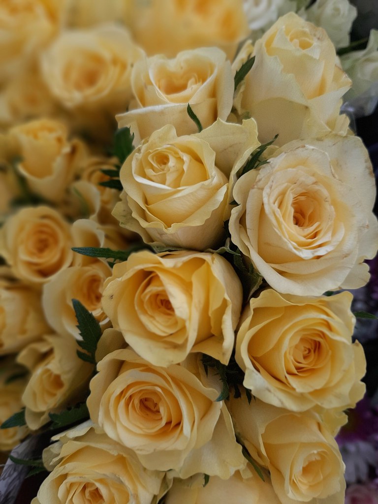 Beautiful flowers for a beautiful lady.. Steve Rigby Flickr