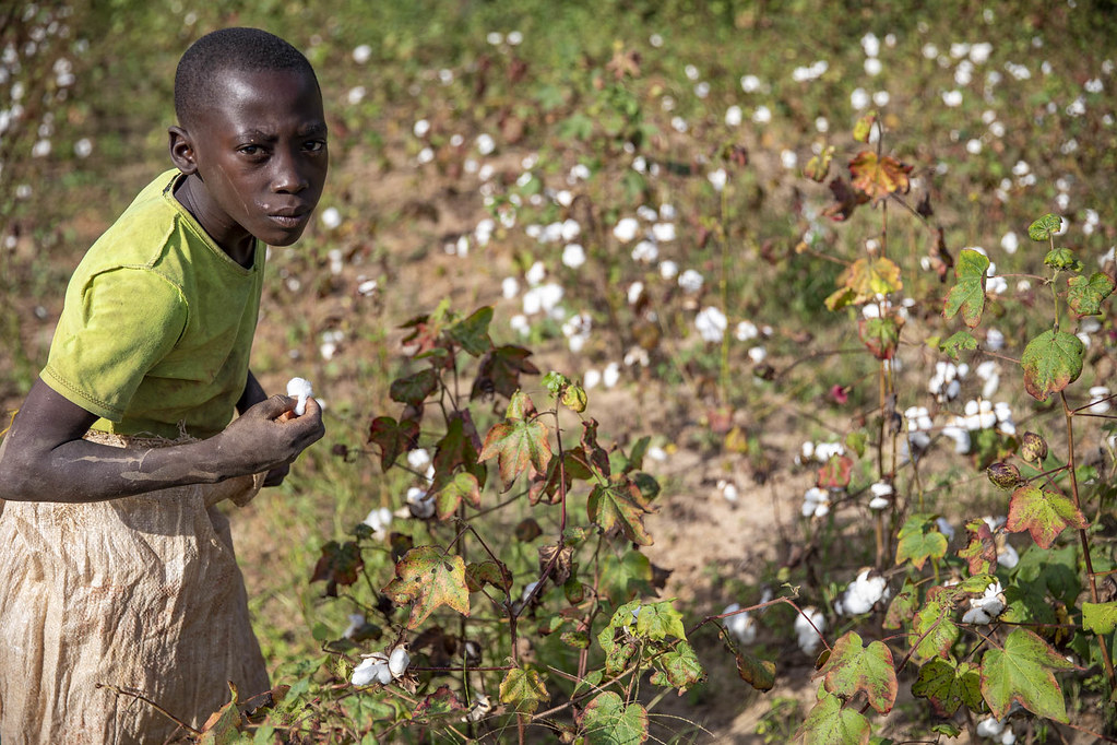 3I8A1387 Oumar Coulibaly, 14, is a child labourer in a cot… Flickr